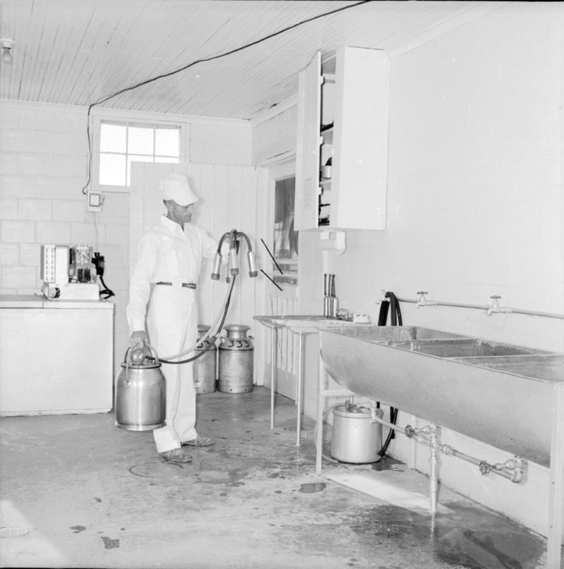 086_and inspected. (1954).jpg